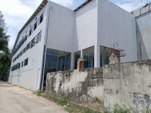 WhatsApp Image 2025-07-13 at 07.16.26_590c64f6